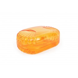 Plastic soap case